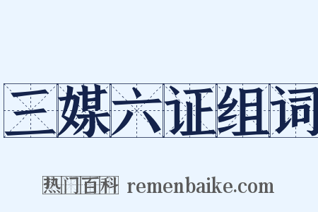 三媒六证组词是什么意思的图片